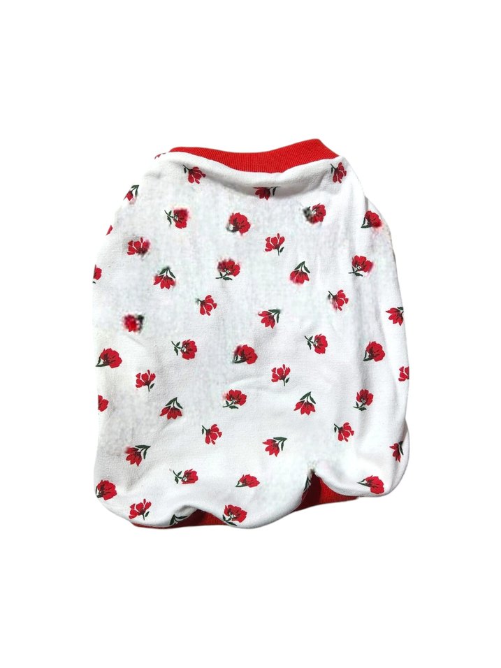 köpek ve kedi t hsirt - Görsel 2