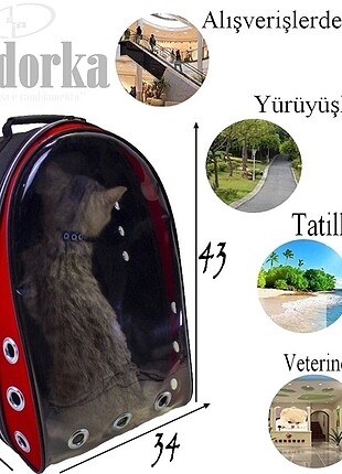 Bordo kedi taşıma çantasi