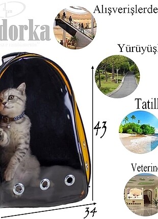 Sarı kedi taşıma çantası 
