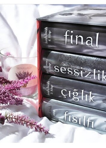 Hush hush serisi PDF kitap 