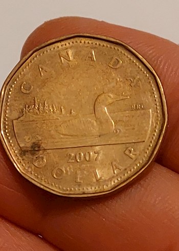 2007 basım II. Elisabeth Canada 1 dolar madeni para - Görsel 2