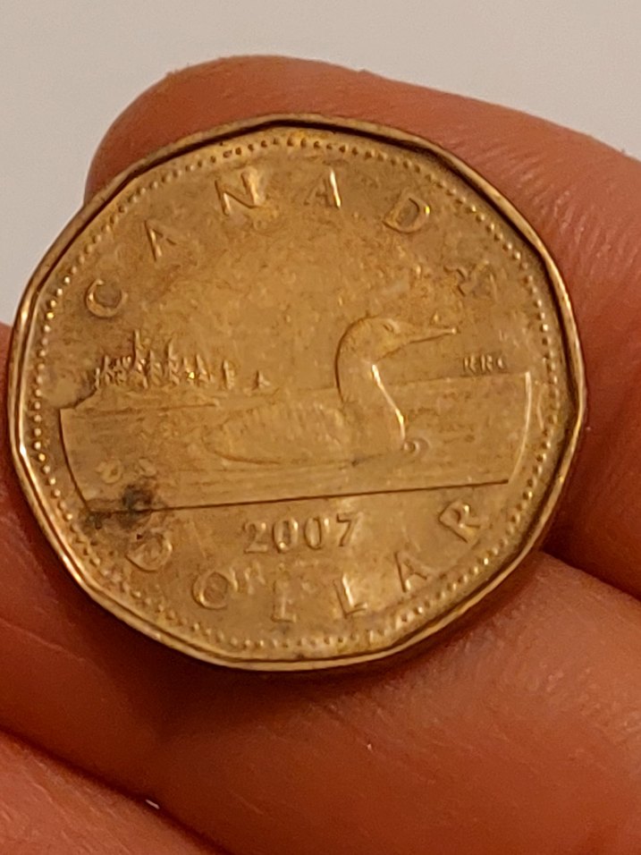 2007 basım II. Elisabeth Canada 1 dolar madeni para - Görsel 2