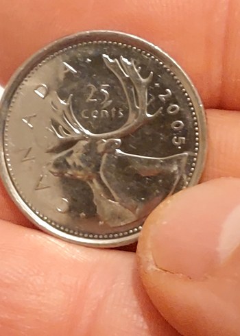 2005 Basım II. Elisabeth Canada 25 cent madeni para - Görsel 3