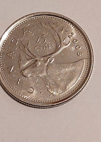 2005 Basım II. Elisabeth Canada 25 cent madeni para - Görsel 2