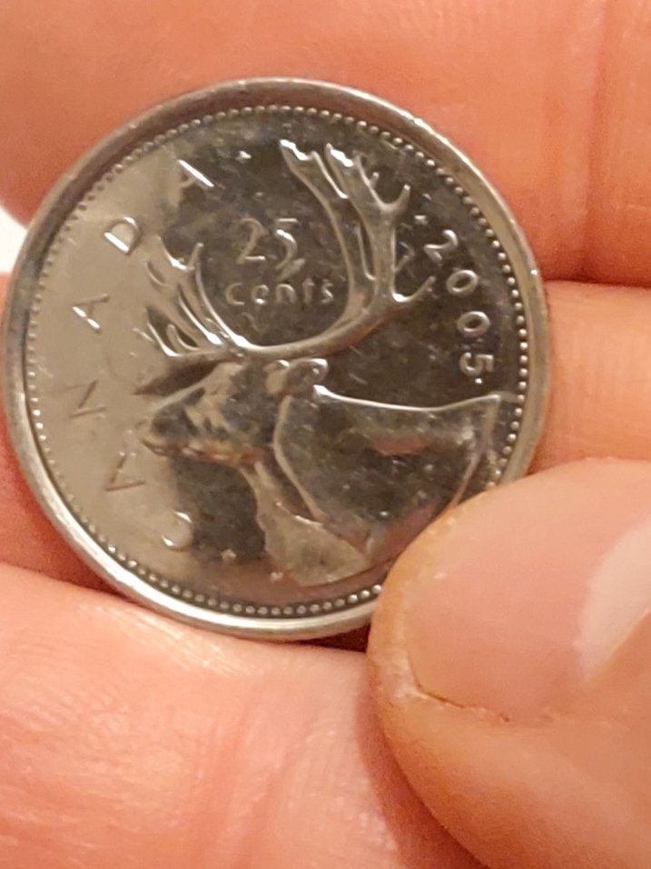 2005 Basım II. Elisabeth Canada 25 cent madeni para - Görsel 3