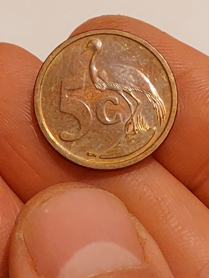 Güney Afrika 5 cent 2008 basım - Görsel 3