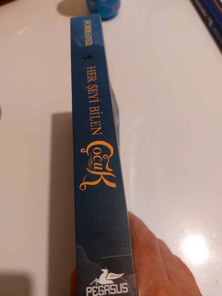 Her Şeyi Bilen Çocuk - Victoria Forester - Görsel 4