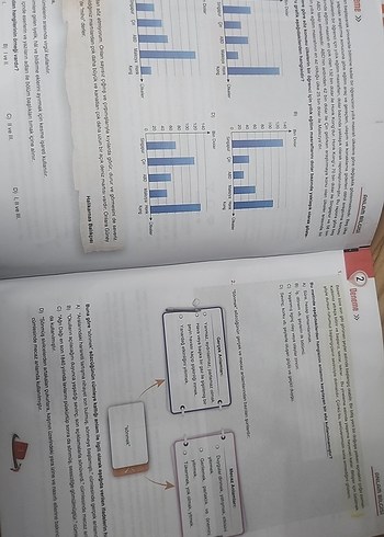 8. Sınıf Anlam Denemesi - Günay Yayınları
