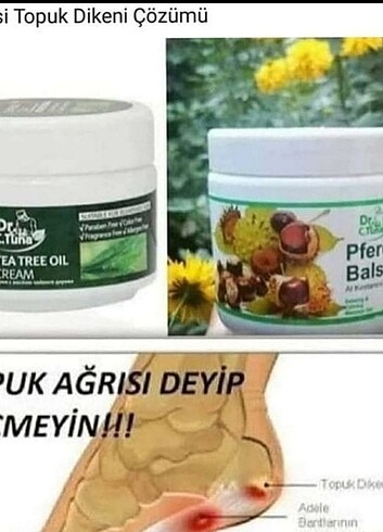 Beden AT KESTANESİ MASAJ KREMİ 500 MLFARMASİ