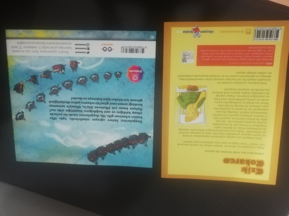 Öfke kuşları orkestrası - zorbalık kitabı - Görsel 2