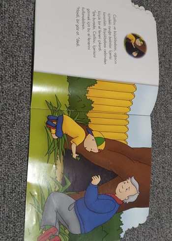 Caillou Çocuk Kitapları Seti - Görsel 2
