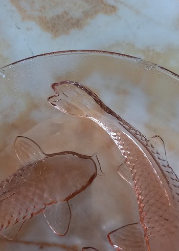 Endonezya koi balıklı 12 adet - Görsel 8