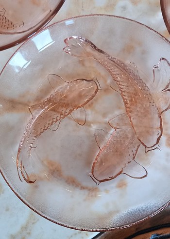 Endonezya koi balıklı 12 adet - Görsel 5