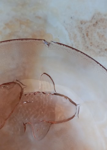 Endonezya koi balıklı 12 adet - Görsel 7