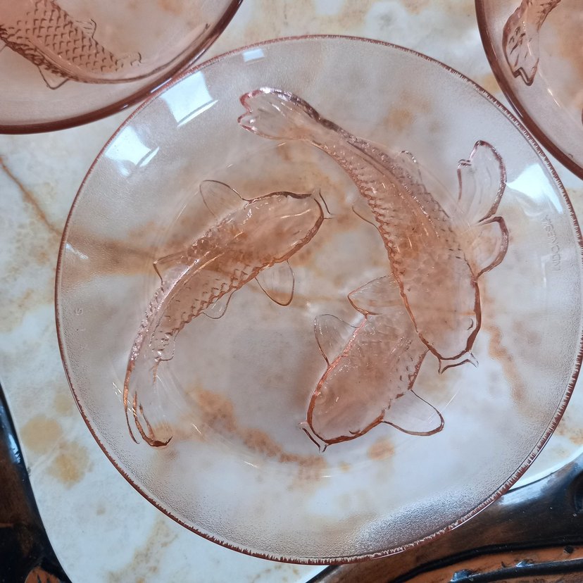 Endonezya koi balıklı 12 adet - Görsel 5