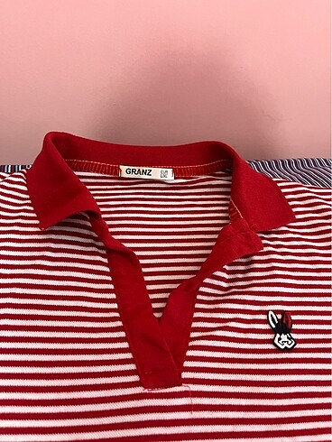 U.S Polo Assn. Polo yaka elbise
