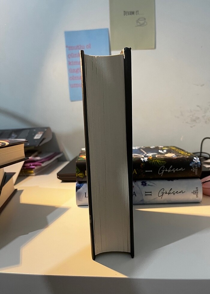 Ölü şehrin şarkısı - Görsel 3