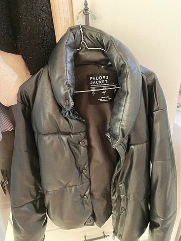 Stradivarius mont