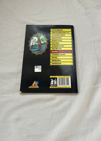 Wild Geese - Cornellia Meigs Kitap - Görsel 2