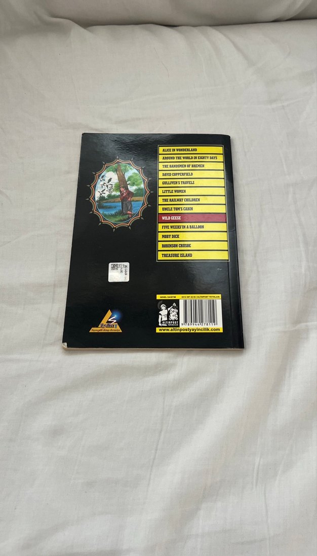 Wild Geese - Cornellia Meigs Kitap - Görsel 2