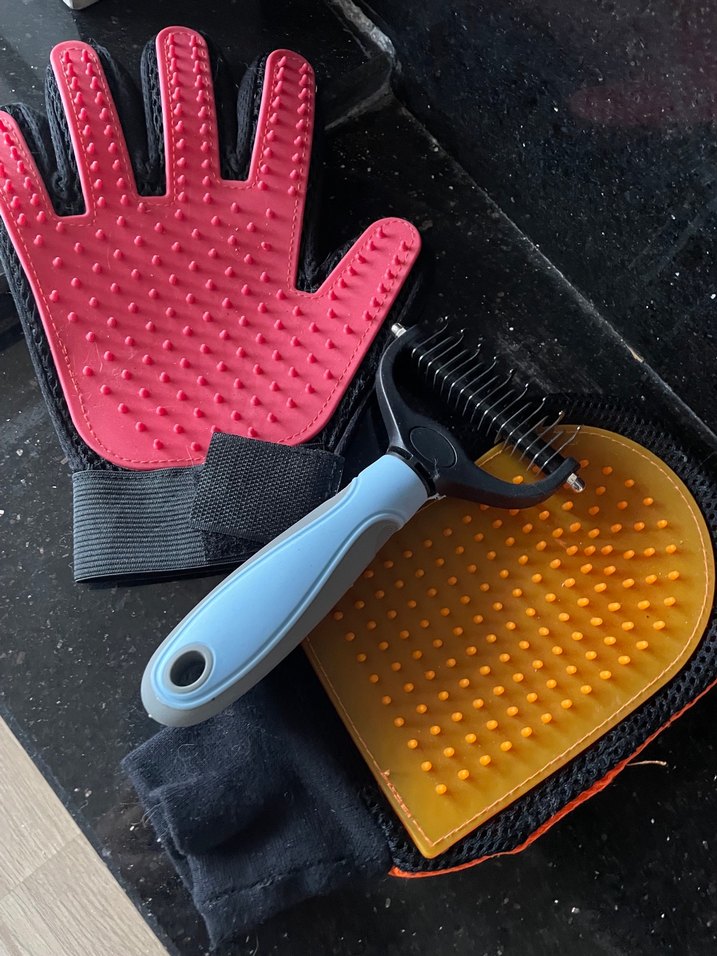 Renkli Kedi Tüy Bakım Seti - Görsel 2