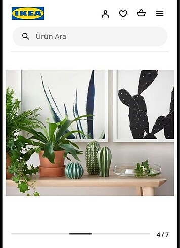 İkea kaktüs aksesuar - Görsel 4