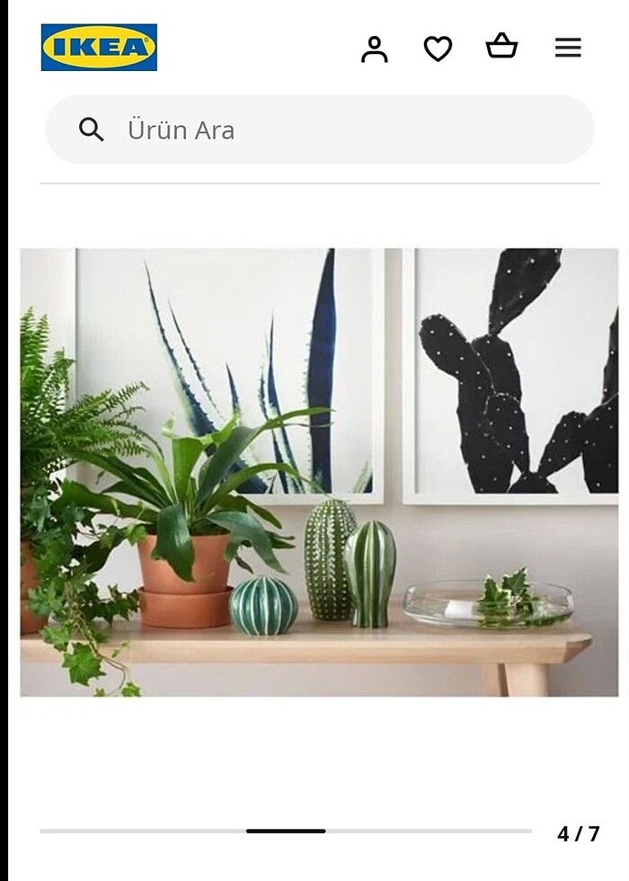 İkea kaktüs aksesuar - Görsel 4