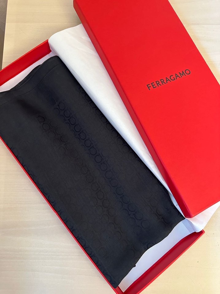 Salvatore Ferragamo Şal - Görsel 2