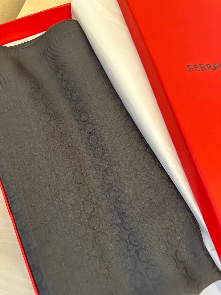 Salvatore Ferragamo Şal - Görsel 3