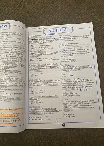 Beden TYT 32 Sayfada Her Sene Sorulan Bilgiler Kitabı