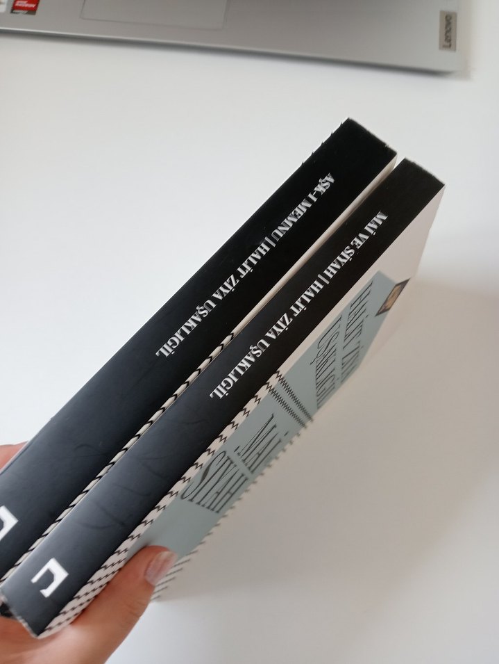 Halit Ziya Uşaklıgil 2 Kitap Seti - Görsel 3