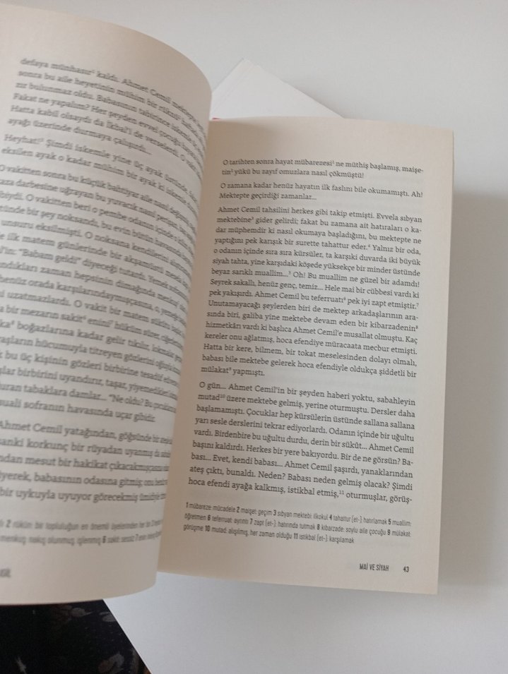Halit Ziya Uşaklıgil 2 Kitap Seti - Görsel 4