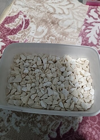 Akvaryum taşı 