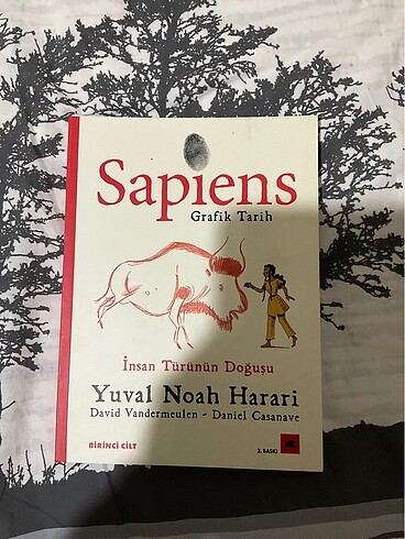Sapiens grafik tarih