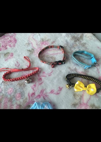 sevimli kediler için. - Görsel 7