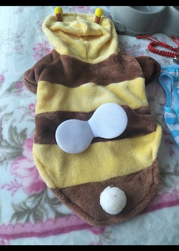 sevimli kediler için. - Görsel 2