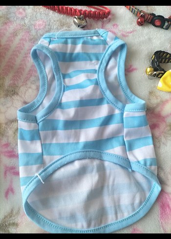 sevimli kediler için. - Görsel 5