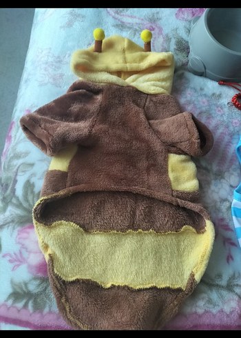 sevimli kediler için. - Görsel 3