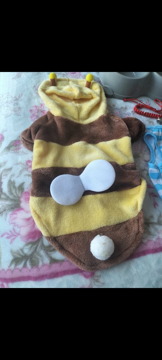 sevimli kediler için. - Görsel 2