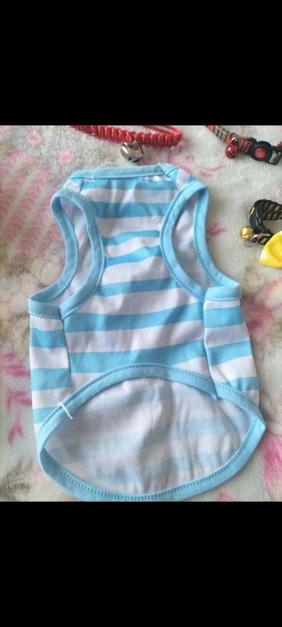 sevimli kediler için. - Görsel 5