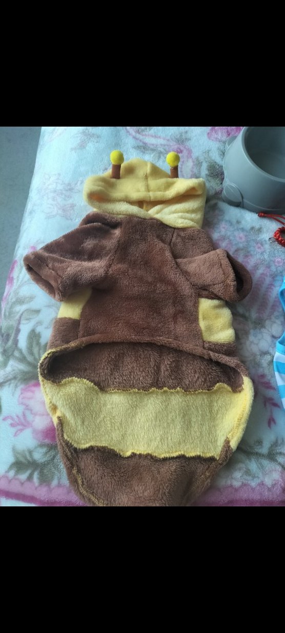 sevimli kediler için. - Görsel 3