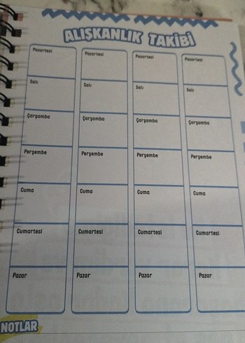 Motivasyon Ajandam - Tarihsiz Başarı Defteri - Görsel 4