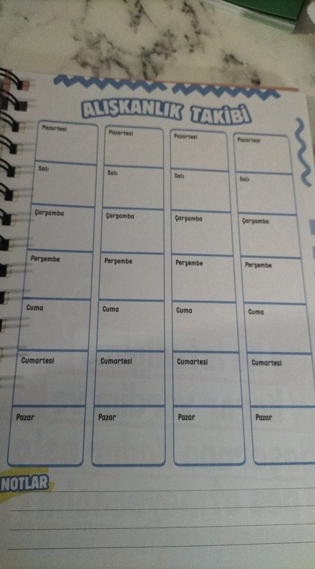 Motivasyon Ajandam - Tarihsiz Başarı Defteri - Görsel 4