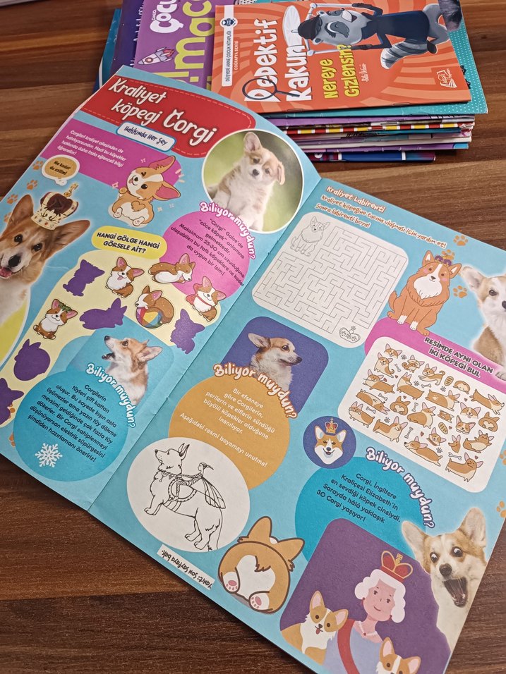 Pofuduk Çocuk Dergisi 2023-04 Sayısı - Görsel 3