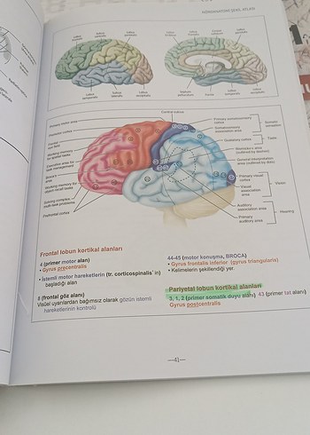 Tıp ve Anatomi Ders Kitapları Seti - Görsel 12