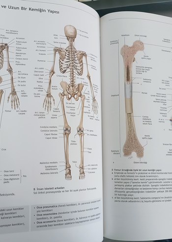 Tıp ve Anatomi Ders Kitapları Seti - Görsel 8