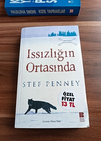 Issızlığın Ortasında - Stef Penney