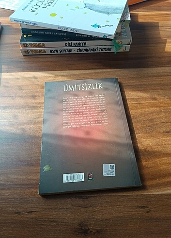 Beden Ümitsizlik - Belkıs Akça