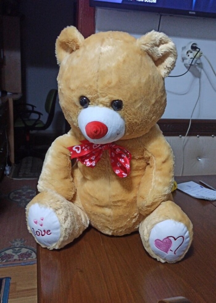 Peluş Ayı - Görsel 2