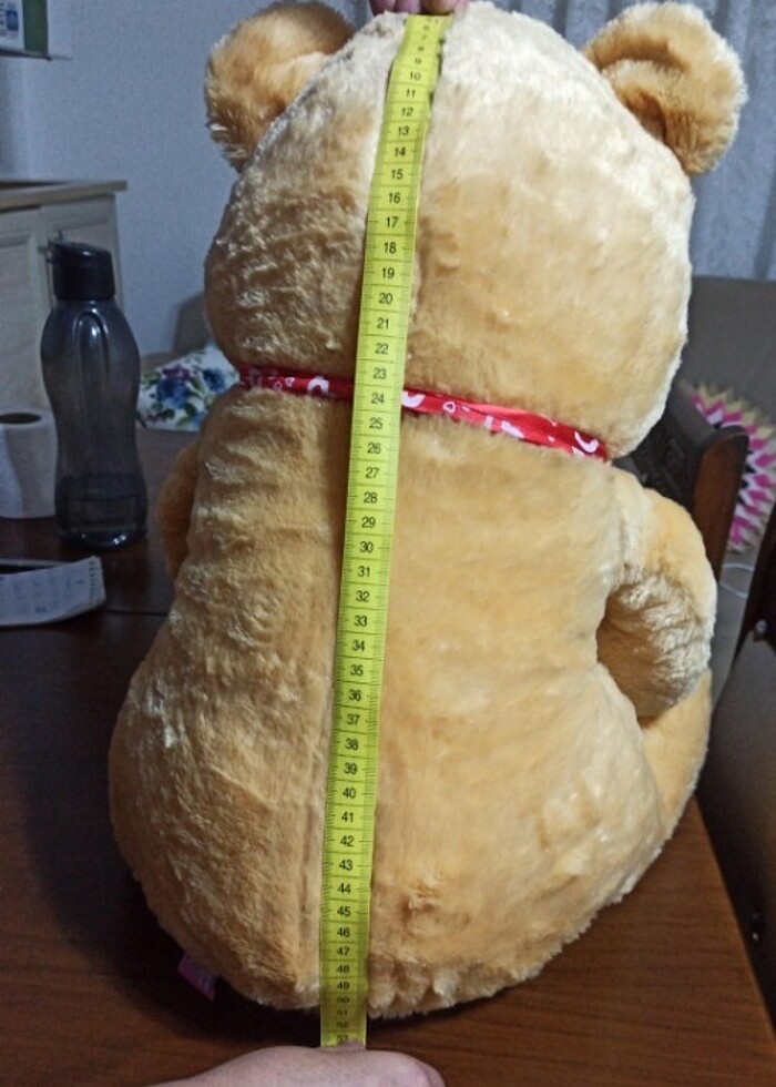 Peluş Ayı - Görsel 3